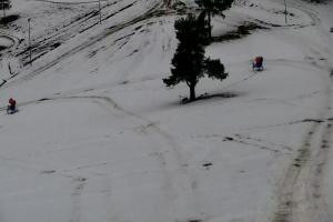 Szczawnica Palenica Szafranówka