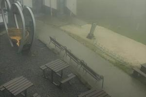 Miedzybrodzie Żywieckie Góra Żar 
