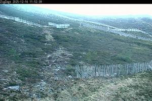 Kamera: Cairgorm Zigzags Webcam Cairgorm Cairgorm Zigzags Webcam