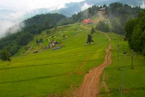 Kamera: Palenica Szafranówka Szczawnica Palenica Szafranówka