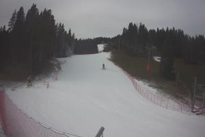 Kamera: Tylicz Ski Widok na stok Tylicz Tylicz Ski Widok na stok