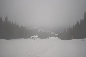 Kamera: Dwie Doliny Wierchomla - górna stacja Wierchomla-Muszyna Dwie Doliny Wierchomla - górna stacja