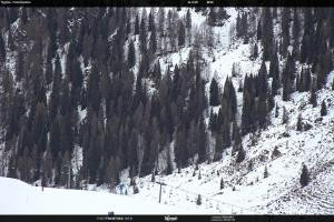 S. Martino di Castrozza / Passo Rolle S. Martino di Castrozza / Passo Rolle Tognola - Pista Scandola