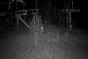 Kamera: Magura Małastowska Widok na stok Gorlice-Małastów Magura Małastowska Widok na stok