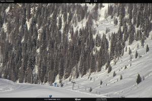 S. Martino di Castrozza / Passo Rolle S. Martino di Castrozza / Passo Rolle Tognola - Pista Scandola