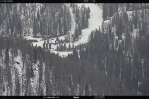 San Martino di Castrozza - Passo Rolle San Martino di Castrozza - Passo Rolle Ces - Malga Valcigolera