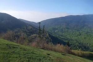 Zawoja - Mosorny Groń Zawoja Ski Widok na stok