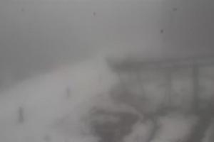 Stronie Śląskie Czarna Góra Zjeżdżalnia grawitacyjna Czarna Żmija