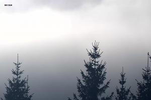 Kamera: Ski&Sun Ski & Sun - Świeradów - widok na bar Świeradów Zdrój Ski&Sun Ski & Sun - Świeradów - widok na bar