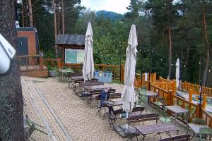 Szczawnica Palenica Widok na stok