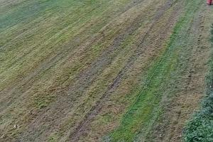 Stężyca Wieżyca Widok na stok