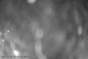 Kamera: Szelment WOSiR Wyciąg Szelment Szelment WOSiR Wyciąg