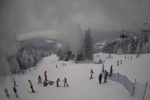 Kamera: Dwie Doliny Polanki Wierchomla-Muszyna Dwie Doliny Polanki