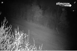 Chyrowa Chyrowa Ski Widok na stok