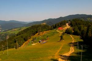 Kamera: Palenica Szafranówka Szczawnica Palenica Szafranówka
