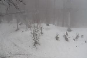 Kamera: Magura Małastowska Widok na stok Gorlice-Małastów Magura Małastowska Widok na stok