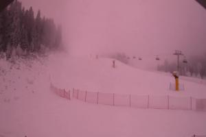 Kamera: Bachledova dolina Bachledova dolina Bachledova dolina