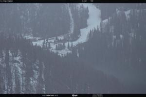 Kamera: San Martino di Castrozza - Passo Rolle Ces - Malga Valcigolera San Martino di Castrozza - Passo Rolle San Martino di Castrozza - Passo Rolle Ces - Malga Valcigolera