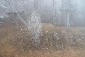 Gorlice-Małastów Magura Małastowska Widok na stok