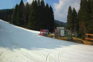 Kamera: Czarna Góra Dolny odcinek trasy B-FIS Stronie Śląskie Czarna Góra Dolny odcinek trasy B-FIS